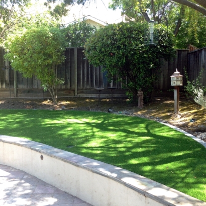 Grass Carpet Vail, Arizona Landscape Design, Commercial Landscape