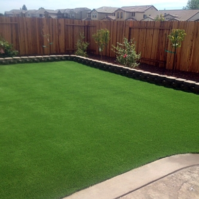 Grass Carpet Whetstone, Arizona Landscape Photos, Backyard Makeover