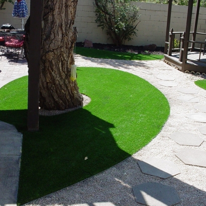 Grass Installation Saint David, Arizona Garden Ideas, Backyard Landscaping