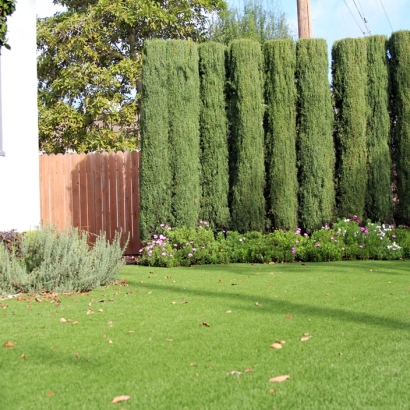 Grass Installation Scottsdale, Arizona Landscaping, Small Front Yard Landscaping