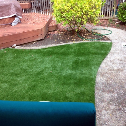 Grass Turf Antares, Arizona Lawns, Backyards