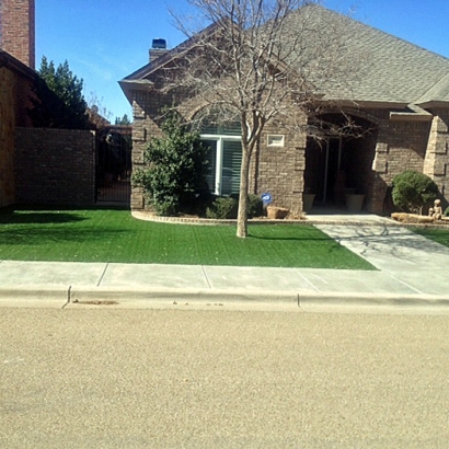 Grass Turf Arivaca, Arizona Lawns, Front Yard Landscape Ideas