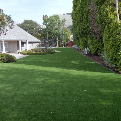 Grass Turf Chandler, Arizona Lawn And Garden, Front Yard Landscaping