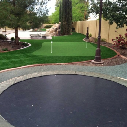 Grass Turf Parks, Arizona Putting Green, Backyard Designs