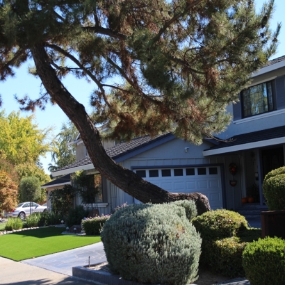 Grass Turf Picacho, Arizona Roof Top, Small Front Yard Landscaping