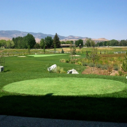 Grass Turf Queen Valley, Arizona Office Putting Green, Backyard Makeover