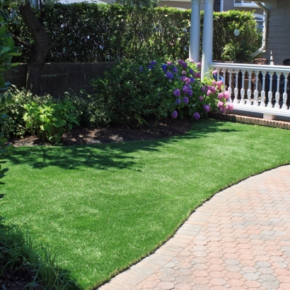 Grass Turf Roosevelt, Arizona Lawn And Garden, Front Yard Design