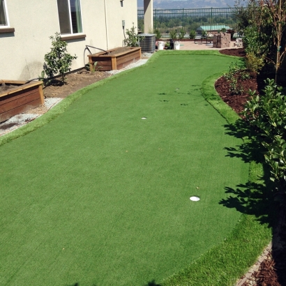 Grass Turf San Simon, Arizona Backyard Putting Green, Backyard Designs