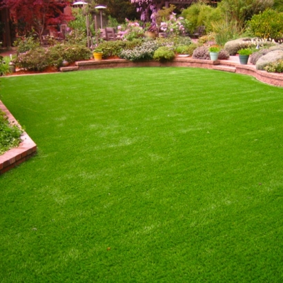 Green Lawn Tonto Basin, Arizona Backyard Deck Ideas, Backyard Ideas