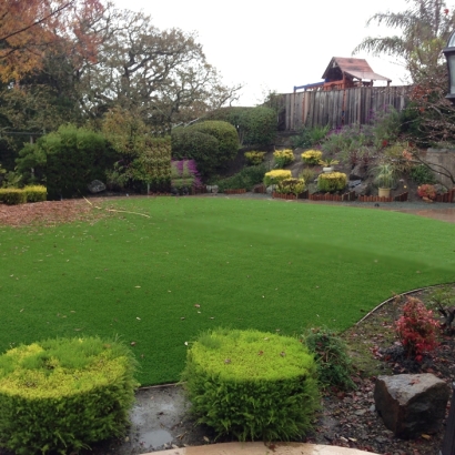 Green Lawn Vicksburg, Arizona Lawn And Landscape, Backyard