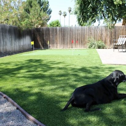 Installing Artificial Grass Congress, Arizona Pictures Of Dogs, Backyard Design