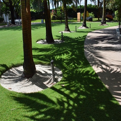 Installing Artificial Grass Drexel Heights, Arizona Dog Parks, Commercial Landscape