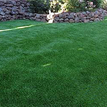Installing Artificial Grass Sanders, Arizona Lawns, Backyard Landscape Ideas