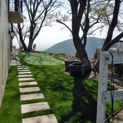 Installing Artificial Grass Tortolita, Arizona Backyard Putting Green, Backyard Ideas