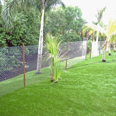 Lawn Services Kino Springs, Arizona City Landscape, Backyard Makeover