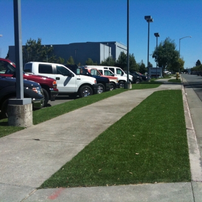 Lawn Services Miami, Arizona Backyard Deck Ideas, Commercial Landscape