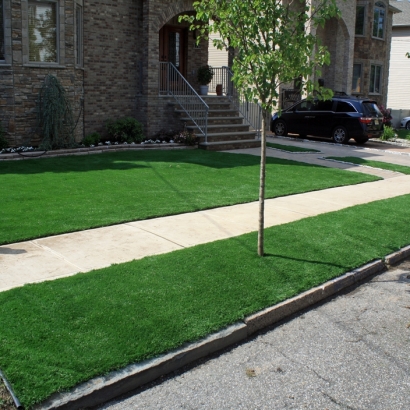 Lawn Services Wellton, Arizona Landscaping Business, Front Yard Ideas