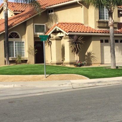 Outdoor Carpet Cactus Forest, Arizona Roof Top, Front Yard Landscaping Ideas