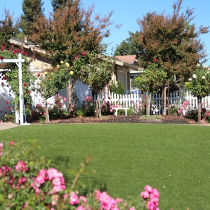 Outdoor Carpet East Fork, Arizona Backyard Playground, Front Yard