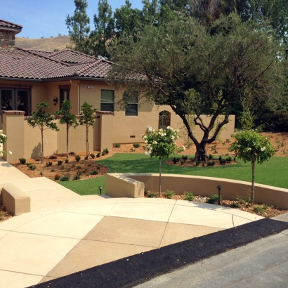 Plastic Grass Antares, Arizona Design Ideas, Landscaping Ideas For Front Yard