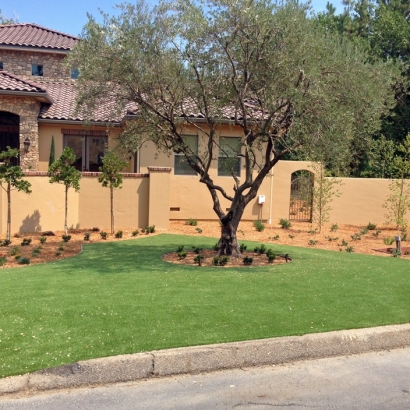 Plastic Grass Carrizo, Arizona City Landscape, Front Yard Landscaping