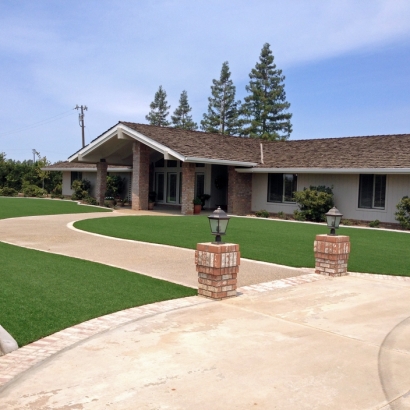 Plastic Grass Mammoth, Arizona Landscape Photos, Landscaping Ideas For Front Yard