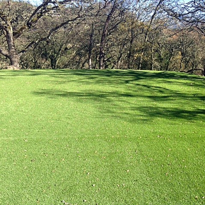 Plastic Grass Nelson, Arizona Landscape Ideas, Recreational Areas