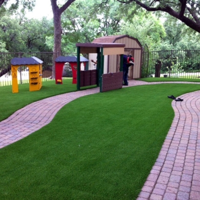 Plastic Grass San Carlos, Arizona Home And Garden, Commercial Landscape