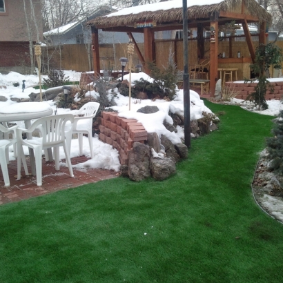 Plastic Grass Sun City, Arizona Garden Ideas, Backyard Garden Ideas