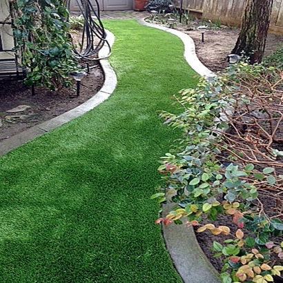 Plastic Grass Wickenburg, Arizona Backyard Playground, Backyard Ideas