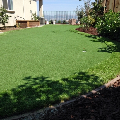 Synthetic Grass Cost Ali Chukson, Arizona Lawn And Landscape, Backyard Design