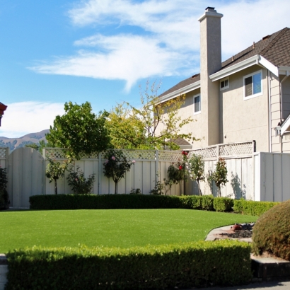 Synthetic Grass Cost Catalina, Arizona Design Ideas, Front Yard Ideas