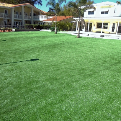 Synthetic Grass Cost Greer, Arizona Backyard Deck Ideas, Swimming Pool Designs