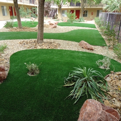 Synthetic Grass Cost McNeal, Arizona Roof Top, Commercial Landscape