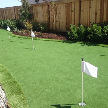 Synthetic Grass East Fork, Arizona Putting Green Grass, Backyard Makeover