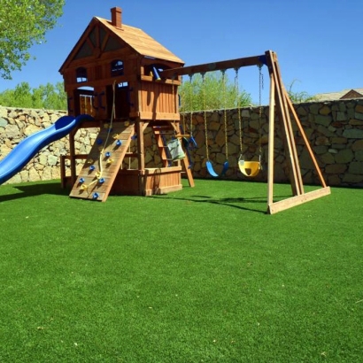 Synthetic Grass Golden Valley, Arizona Backyard Playground, Backyard Ideas