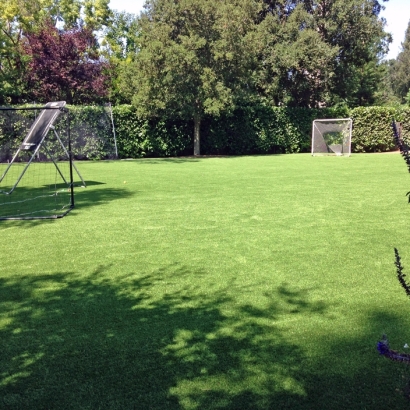 Synthetic Grass Paulden, Arizona Sports Athority, Backyard Landscape Ideas