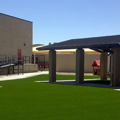 Synthetic Grass Shongopovi, Arizona Landscaping, Commercial Landscape