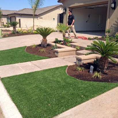 Synthetic Grass South Tucson, Arizona Design Ideas, Front Yard Ideas