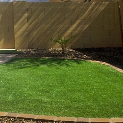 Synthetic Grass Tusayan, Arizona Design Ideas, Backyard Designs