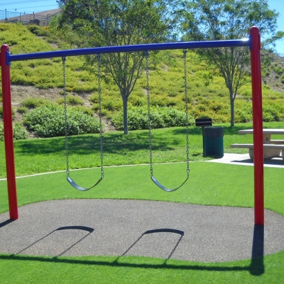 Synthetic Lawn Dragoon, Arizona Playground Safety, Recreational Areas