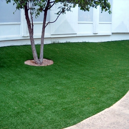 Synthetic Lawn Munds Park, Arizona Landscape Design, Commercial Landscape