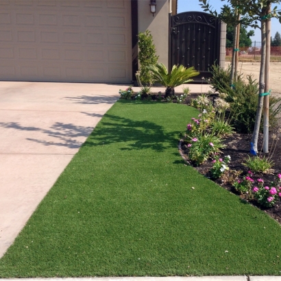 Synthetic Lawn San Luis, Arizona City Landscape, Front Yard Landscape Ideas