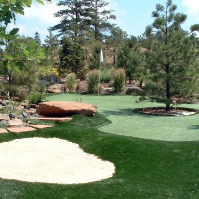 Synthetic Lawn Surprise, Arizona Putting Green Grass, Backyard Designs