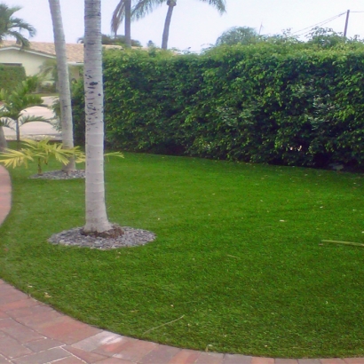 Synthetic Lawn Tumacacori-Carmen, Arizona Landscape Ideas, Front Yard Landscaping