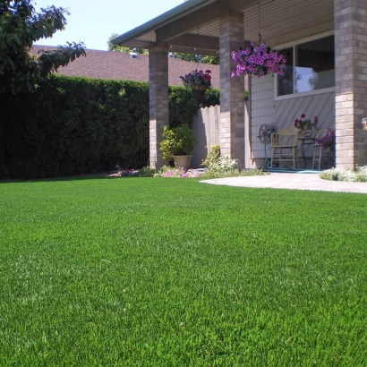 Synthetic Turf Rio Rico, Arizona Design Ideas, Front Yard Landscaping Ideas