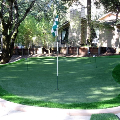 Synthetic Turf Stanfield, Arizona Backyard Playground, Backyard Designs