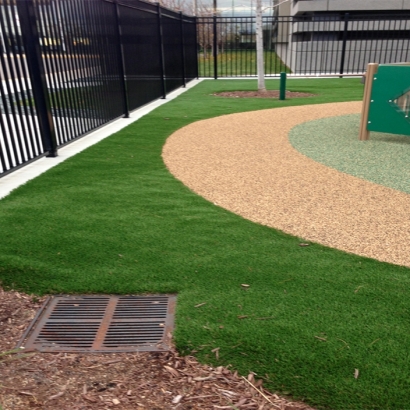 Synthetic Turf Supplier Brenda, Arizona Lawn And Garden, Commercial Landscape