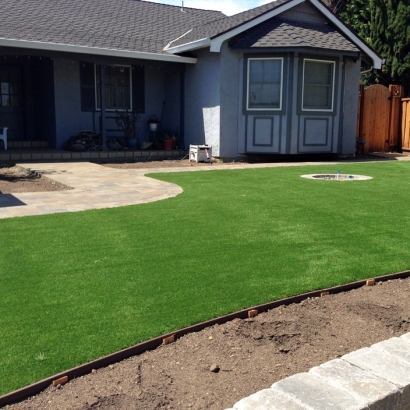 Synthetic Turf Supplier Haivana Nakya, Arizona Home And Garden, Front Yard