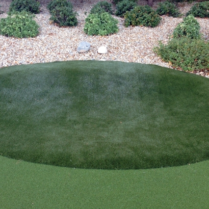 Synthetic Turf Supplier Village of Oak Creek (Big Park), Arizona Best Indoor Putting Green